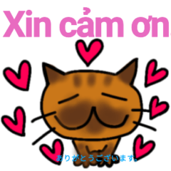 Vietnamese speaking cat 2