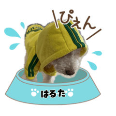 Haruta_20211031151638