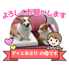 miki_20211031155758