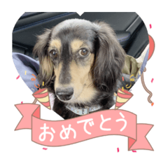 HANA_20211031155037