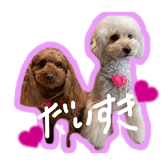 riho_20211031163714