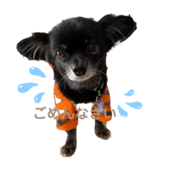 hikari_20211031164828