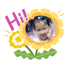 捷寶和豪寶豪華版