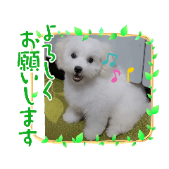 miki_20211031202741