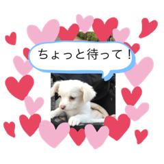 chie_20211031222941