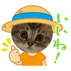 rina_20211031190037