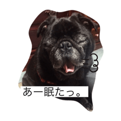 Yuka_20211031210104