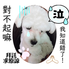 球·利·妞三姐弟妹