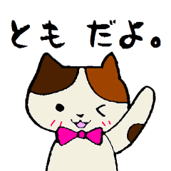 My name is Tomo Cat