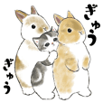 Rabbits and kittens