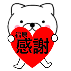 Name cat Fukuhara2