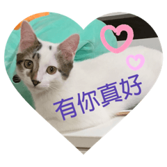 可愛的小屎丸（Swan）