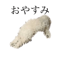 chihiro_20211101085935