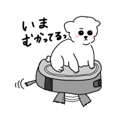 RIHO_20211031175909