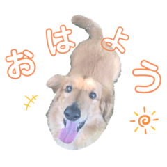 riho_20211031211819