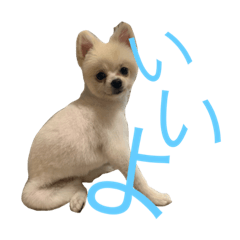 hikaru_20211101125437