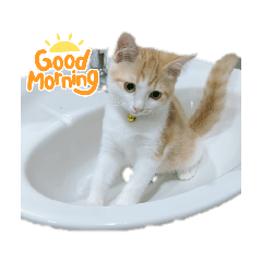 Nooporn_20211101090406