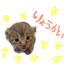 mugigi