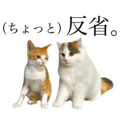 シュール Lineクリエイターズスタンプまとめ Stamplist