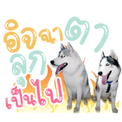 Iamnook_20211031214911