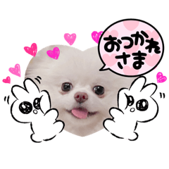 Arisa_20211101163924