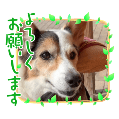 miki_20211101182117