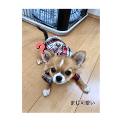 YUTO_20211101193149