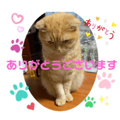 Oribia_20211101201215