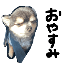 arisa_20211101220857