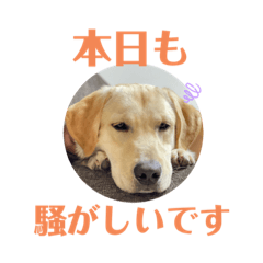 chihiro_20211101223257