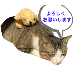 Hana_20211101223736