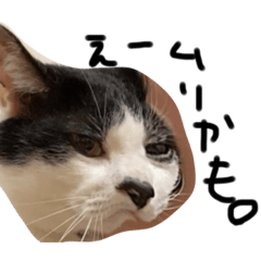 nanami_20211101234142