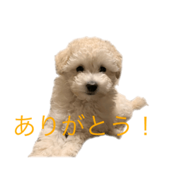 chihiro_20211101234707