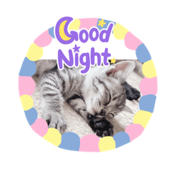 AYUMI_20211101210929