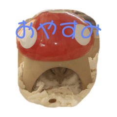 kaito_20211101211921