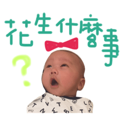 嘟比的日常 2