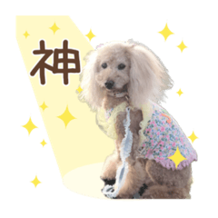 RINA_20211101232734