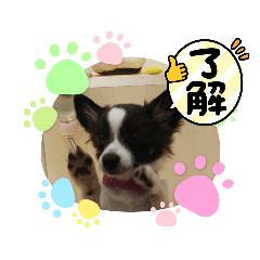 hanamama_20211101233357