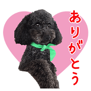 KORIMORU'S Sticker