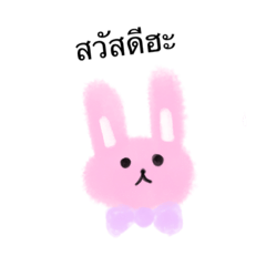 Rabbit_20211101173933