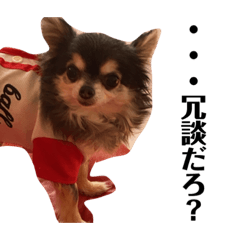 arisa_20211102131513