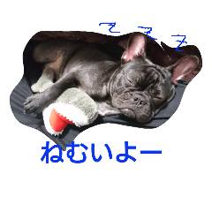 b i b i 2
