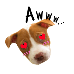 Deji deji stickers (English ver)