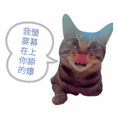 虎斑滾滾的第一個貼圖