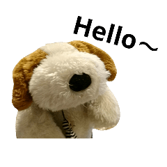 my favorite stuffed dog.