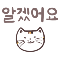 Korean polite words, working cat