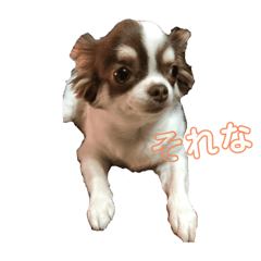 riho_20211102162417