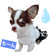 riho_20211102162547