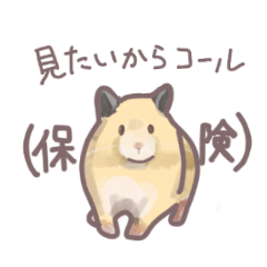 Poker player hamster