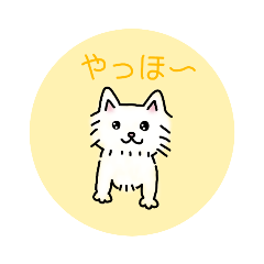 Kchan_20211102165541